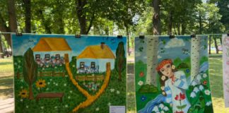 На Житомирщині відбулася мистецька раптівка до 150-річчя Лесі Українки