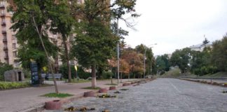 На столичній алеї Героїв Небесної Сотні – черговий акт вандалізму