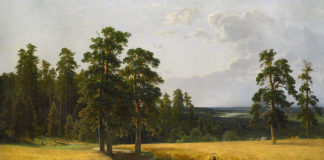 Микола Павленко. Далеке марево часу, або Останній рубіж отамана Шалого