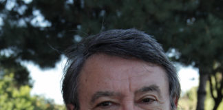 Йон Дяконеску: «Митець за визначенням – наставник миру…»