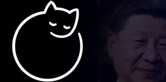 Віталій Портников. Колір кішки