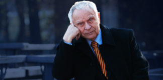 Андрій Содомора. «Стою, мов явір в огняній одежі…»