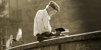 Андрій Содомора. «Садок вишневий» XVI. «Думайте, читайте…»