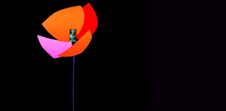 Василь Махно. Недолік поезії