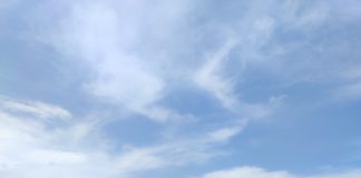 У Дніпрі відбулася творча зустріч із Миколою Гриценком