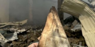 Видавці Німеччини: Удар рф по книжковій галузі України — частина гібридної війни