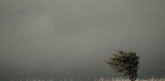 Михайло Сидоржевський. «Візерунки на пергаменті часу»