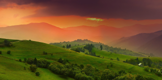 Люба-Параскевія СТРИНАДЮК. Роди неоднакі