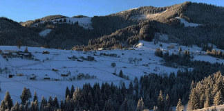 Люба-Параскевія СТРИНАДЮК. Ялинка на свята