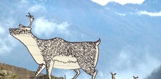 Гренландія: небіла пляма на карті літератури