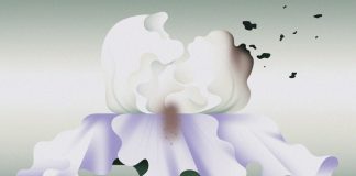 В Україні заснували двомовний журнал про ідеї й культуру «Re/visions»