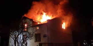 Олеся Ісаюк. Роман Шухевич і страх традиції