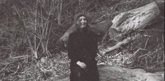 Живі світи і руйнація довкілля: розмова Ірини Замуруєвої з Дарцею Цимбалюк про її книжку «Екоцид в Україні»