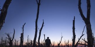 2000 метрів до «Оскара»: у прокат вийшов фільм-подорож Мстислава Чернова про контрнаступ 2023-го року