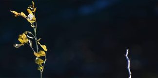 Андрій Содомора. Осінь