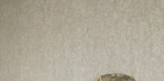 Членкиня ДОО НСПУ поповнила лави ЗСУ