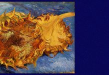 Андрій Содомора. Соняшник