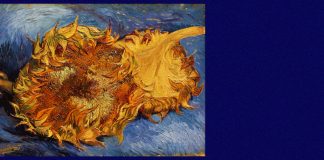 Андрій Содомора. Соняшник