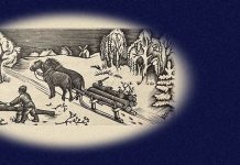 Андрій Содомора. Дрова на зиму