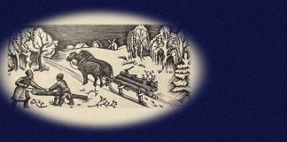 Андрій Содомора. Дрова на зиму